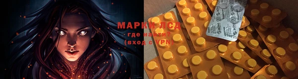 ПСИЛОЦИБИНОВЫЕ ГРИБЫ Балабаново