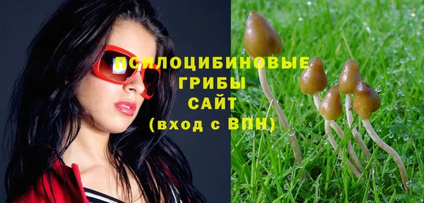 ПСИЛОЦИБИНОВЫЕ ГРИБЫ Балабаново