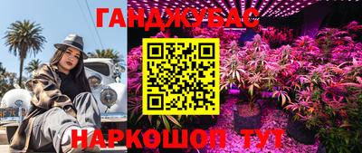 ГАЛЛЮЦИНОГЕННЫЕ ГРИБЫ Будённовск