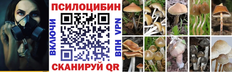 omg сайт  Вольск  Галлюциногенные грибы мухоморы 