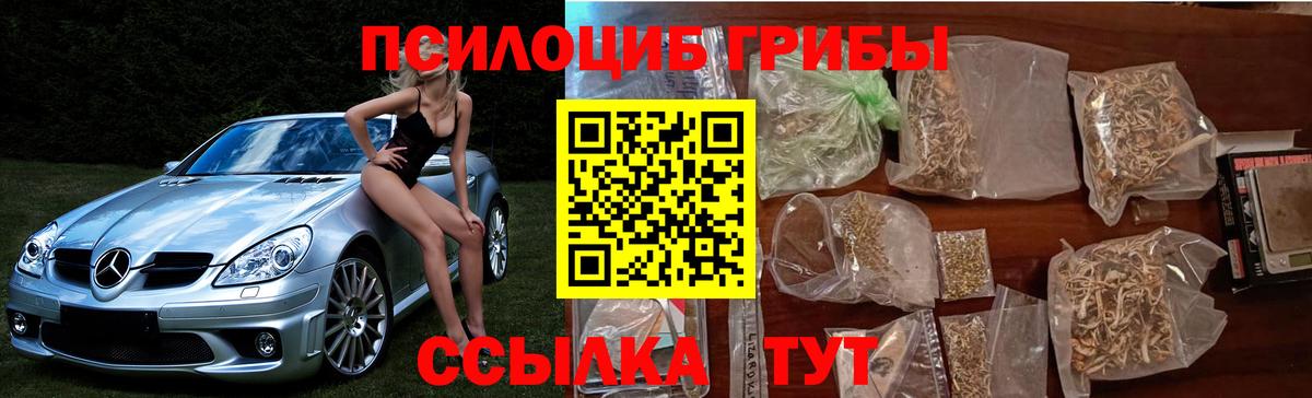 Галлюциногенные грибы GOLDEN TEACHER  Вход с VPN  Псилоцибиновые грибы мицелий  Вольск 